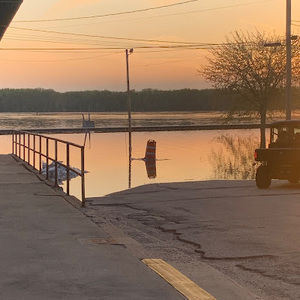 Meet your Posher, Brynn